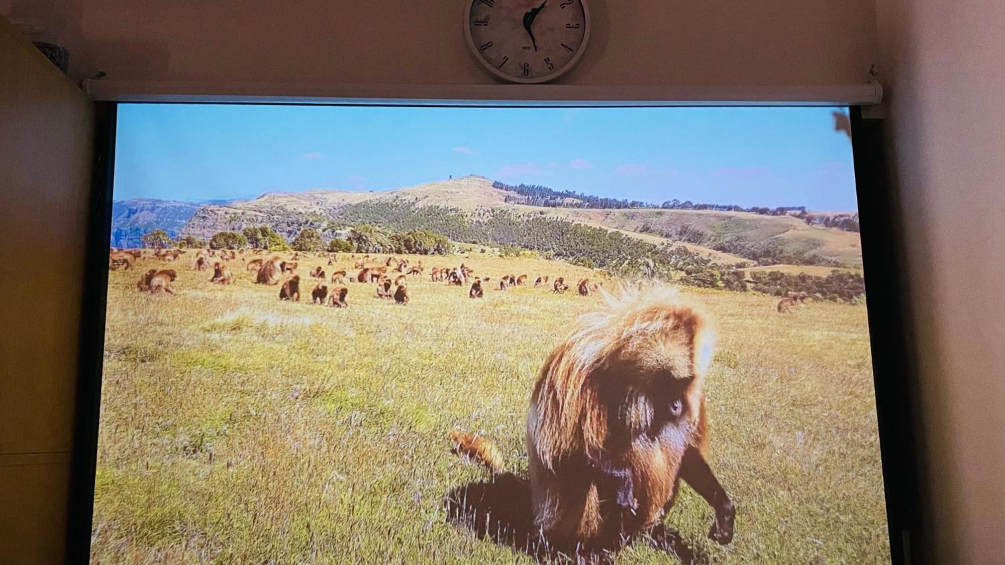מלון נגויה 雲波館 מראה חיצוני תמונה